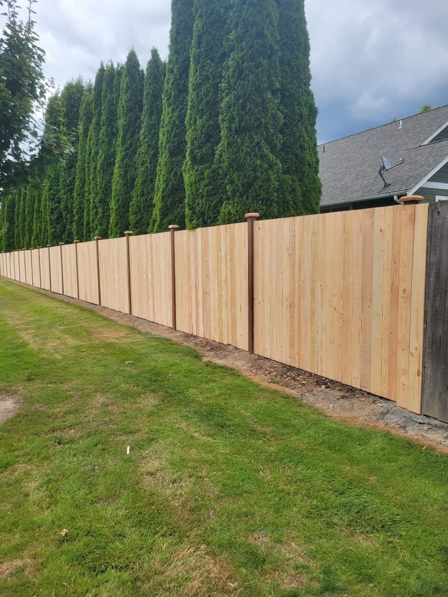 Quality cedar privacy fence with clean lines